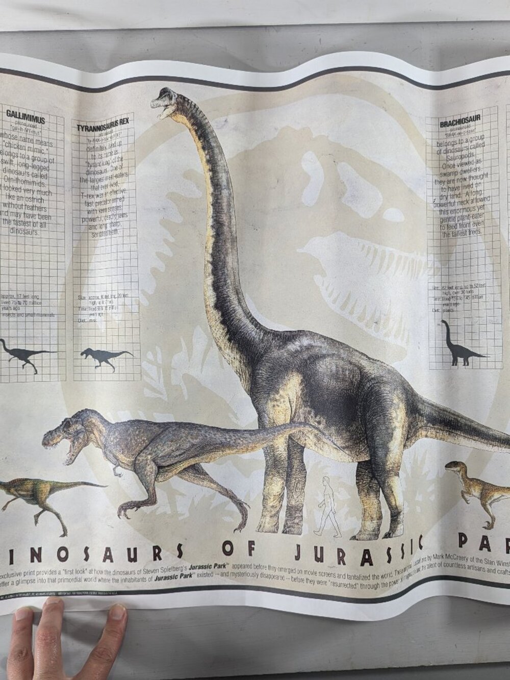 1993 Jurassic Park Promotional poster Collectible, Universal Studios original